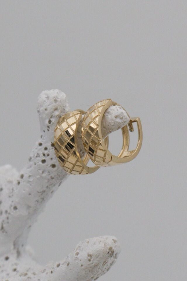 Yılan Pulu Desenli 14 Ayar Mini Halka Küpe