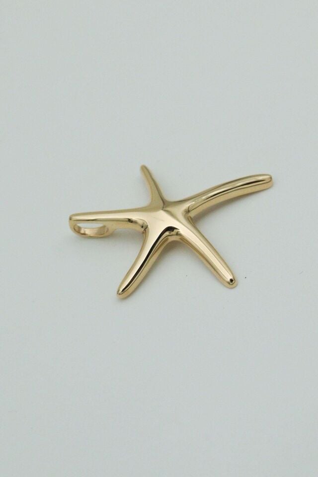 Büyük Deniz Yıldızı 14 Ayar Altın Kolye Ucu