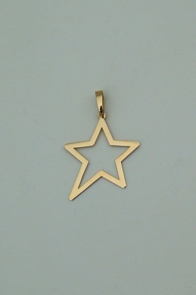 Çerçeve Kutup Yıldızı 14 Ayar Altın Kolye