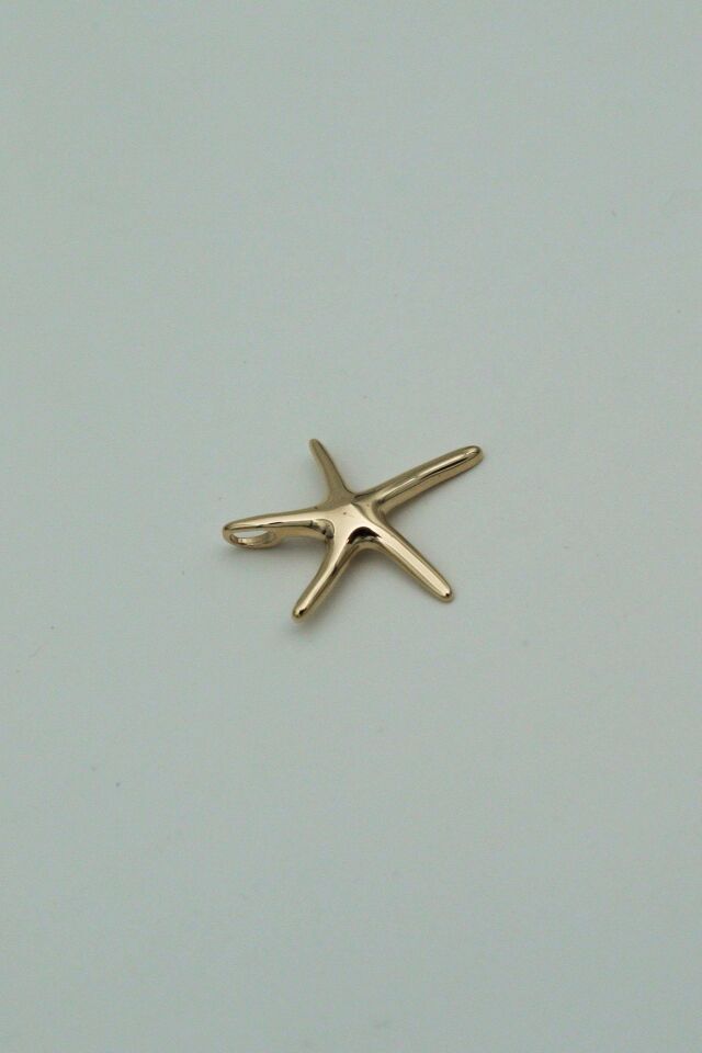 Küçük Deniz Yıldızı 14 Ayar Altın Kolye Ucu
